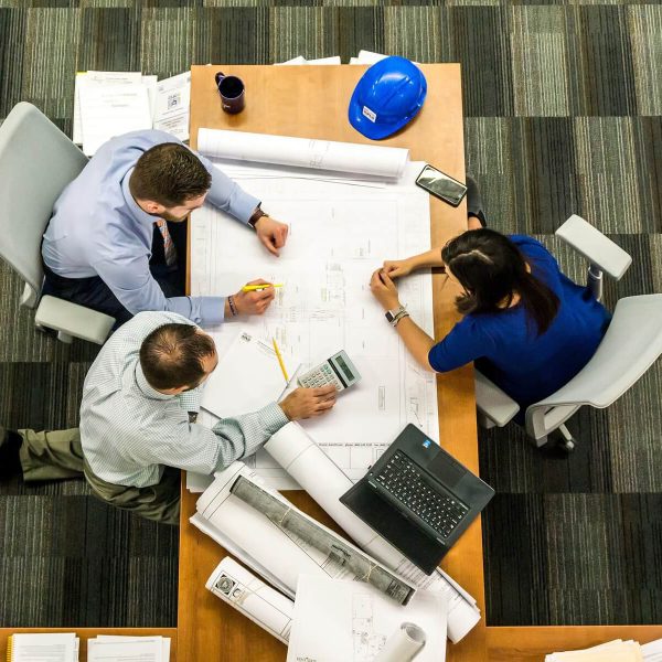 Υπηρεσίες συμβούλου, Επιδοτούμενα προγράμματα, επιχορήγηση και επιδότησης